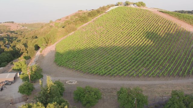 Aerial Drone Shot Revealing a House on a Hill Surrounded by Vineyards During Sunset (Paso Robles,California)