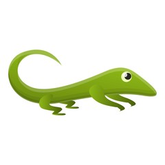 Zoo lizard icon. Cartoon of zoo lizard vector icon for web design isolated on white background