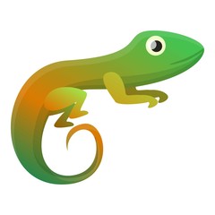 Colorful reptile icon. Cartoon of colorful reptile vector icon for web design isolated on white background