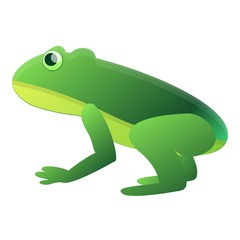 Zoo frog icon. Cartoon of zoo frog vector icon for web design isolated on white background
