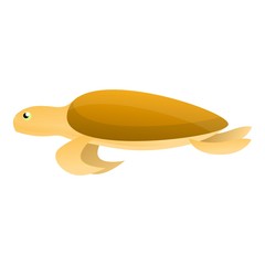 Old turtle icon. Cartoon of old turtle vector icon for web design isolated on white background