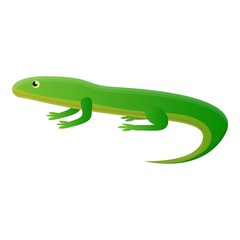 Exotic lizard icon. Cartoon of exotic lizard vector icon for web design isolated on white background