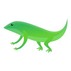 Home lizard icon. Cartoon of home lizard vector icon for web design isolated on white background