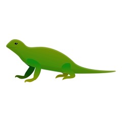 Iguana lizard icon. Cartoon of iguana lizard vector icon for web design isolated on white background