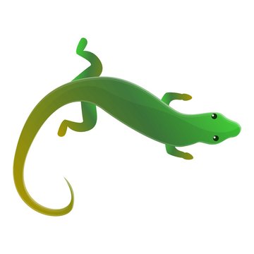 Lizard Cartoon Images – Browse 60,356 Stock Photos, Vectors, and Video |  Adobe Stock
