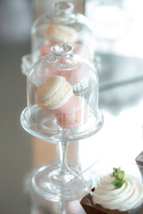 Gentle colorful macaroons in glass bell jar