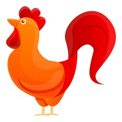 Red rooster cock icon. Cartoon of red rooster cock vector icon for web design isolated on white background
