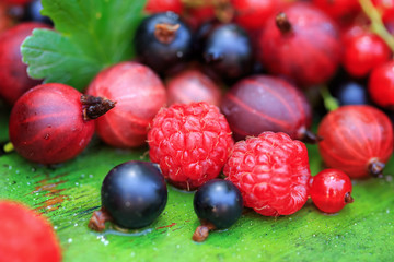 Mix of different summer berries on a wooden background