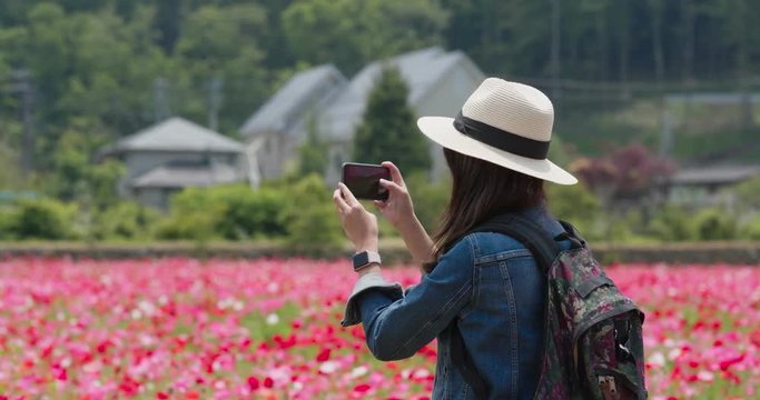 Woman take photo on mobile phone in poppy field garden