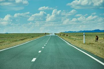 Fototapeta premium Road in Gobi Desert