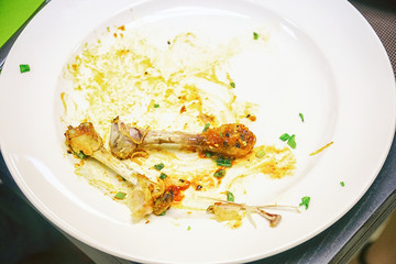 Chicken Bones scraps on a white plate