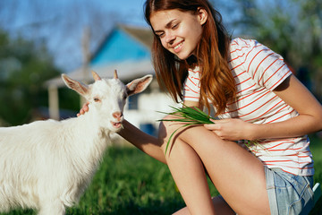 Fototapeta premium little girl with goat