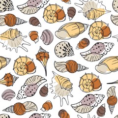 Vector  seamless pattern with hand drawn seashells.