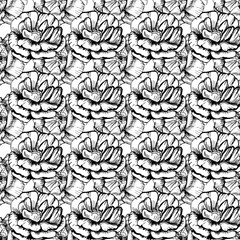 Large ellegant seamless pattern with roses. Botanical texture big flowers