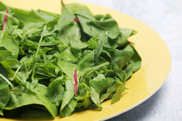 A plate with green salad