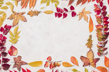 Flat  lay autumn leaves double frame