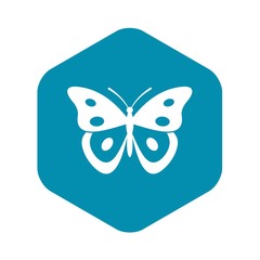 Butterfly pierid icon. Simple illustration of butterfly pierid vector icon for web