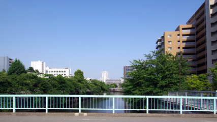 Fototapeta na wymiar 橋の上からの風景