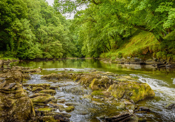 Cenarth Falls, a series of small waterfalls and pools on the river Teifi , Carmarthen, Wales