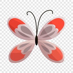Butterfly icon. Cartoon illustration of butterfly vector icon for web