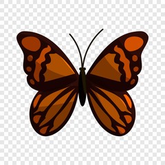 Brown butterfly icon. Cartoon illustration of brown butterfly vector icon for web