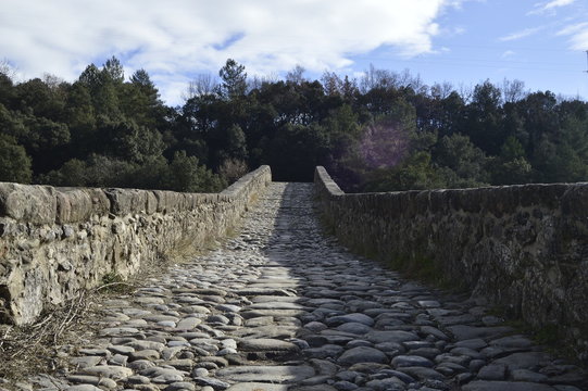 Camino Puente