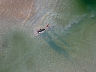A bird's eye view