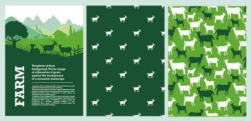 Agricultural brochure layout design. Background for covers, flyers, banners. - obrazy, fototapety, plakaty