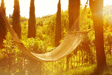 Hängematte Gegenlicht