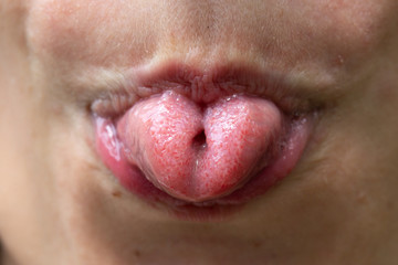 A closeup view on the curled tongue of an adult Caucasian person, sticking tongue out of mouth and...