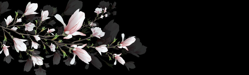 realistic flower, Magnolia branch isolated on black background. Magnolia branch-a symbol of spring, summer, femininity in the style of realism. 3d, three-dimensional red flower in a minimalist style. 