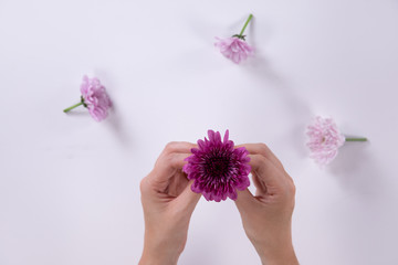 Woman holding a little purple flower between her hands with other flowers around her hands