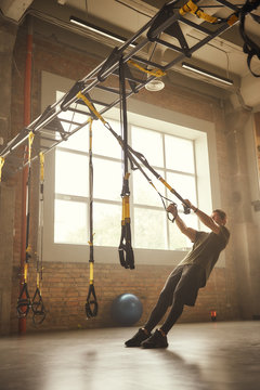 Trx Suspension Training Images – Browse 223 Stock Photos, Vectors, and  Video