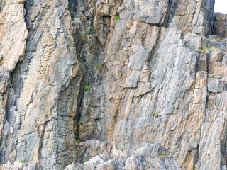 Background of stone wall texture rough rock surface