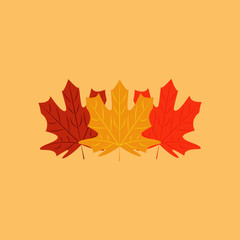 Vector illustration of maple leaves on bright colored background for your poster, placard, card or flyer design.