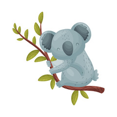 Gray koala on a branch. Vector illustration on white background. © Happypictures