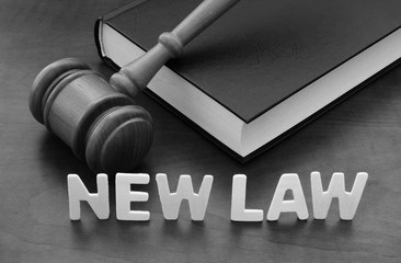 Legal reform concept with judge gavel on legal book and words new law