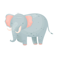 Big gray elephant. Vector illustration on white background.