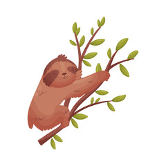 Brown sloth on a branch. Vector illustration on white background. © Happypictures