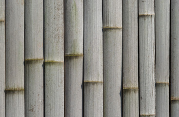 Old dried grey bamboo cane wall as background
