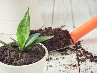 Garden shovel and soil on a white wooden table