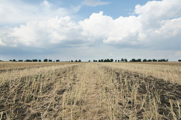 Gorgeous rural landscape.Sunny day i the field after harvest