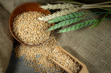 Wheat seeds spilling from wooden scoop on jute