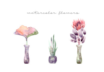 Painted watercolor composition of flowers in pastel colors: protea, eucalyptus, gingko in vase. Element for design. Greeting card. Valentine's Day, Mother's Day, Wedding, Birthday
