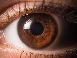 Human eye close up