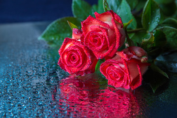 A bouquet of red roses lie on a mirror; roses and a mirror are covered with water droplets.