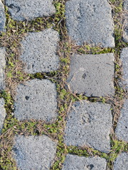Stone blocks in the walkway. Old sett. Cobble road with grass growing between cobbles.