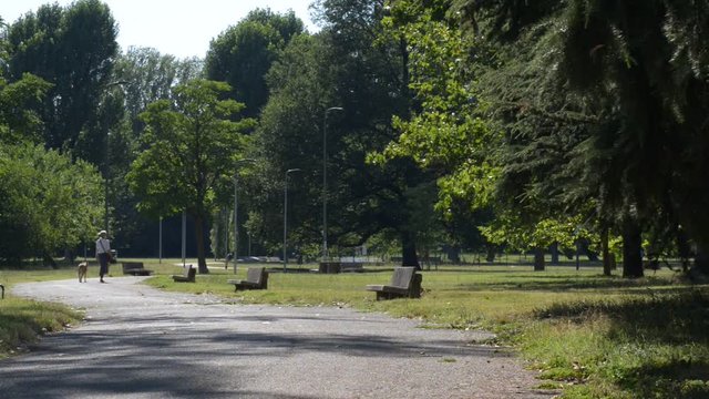 a passeggio nel parco con il proprio cane in una splendida giornata di vacanza