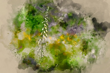 Digital watercolor painting of Beautiful Summer garden landscape with beautiful foxgloves in foreground with selective focus
