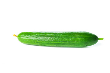 Cucumber isolated on white background